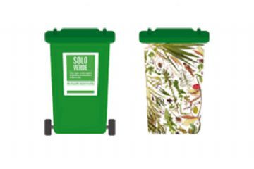 Avviso raccolta frazione vegetale mese di ottobre 2025